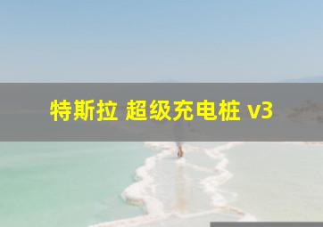 特斯拉 超级充电桩 v3